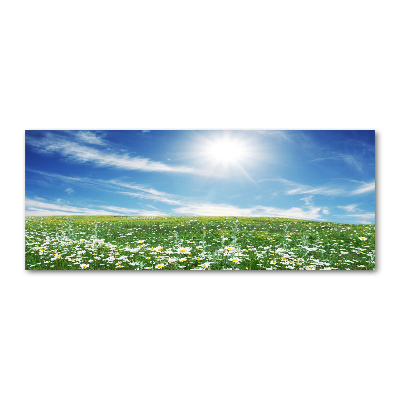 Foto auf Acryl Wiese