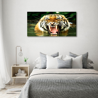 Bild auf Acrylglas Brüllender Tiger