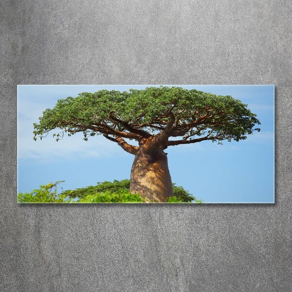 Acrylglas-Druck Baobab