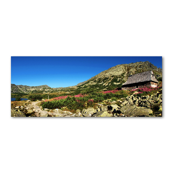 Acrylglas-Druck Schäferhütte im Tal