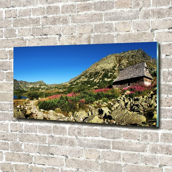 Acrylglas-Druck Schäferhütte im Tal