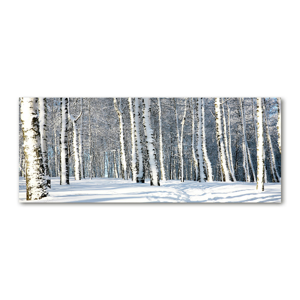 Bild auf Acrylglas Wald im Winter