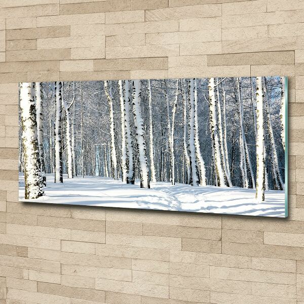 Bild auf Acrylglas Wald im Winter