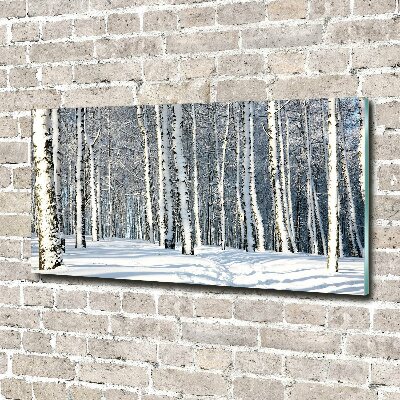 Bild auf Acrylglas Wald im Winter