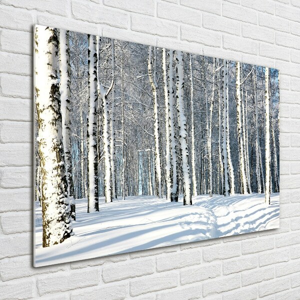 Bild auf Acrylglas Wald im Winter
