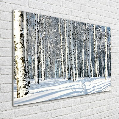 Bild auf Acrylglas Wald im Winter