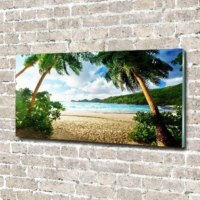 Acrylbild Fotodruck Palmen am Strand