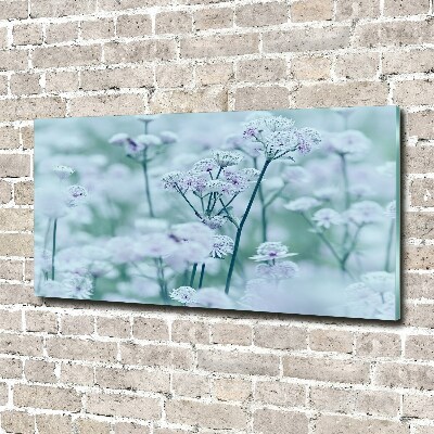 Acrylbild Fotodruck Großer Mantelkraut