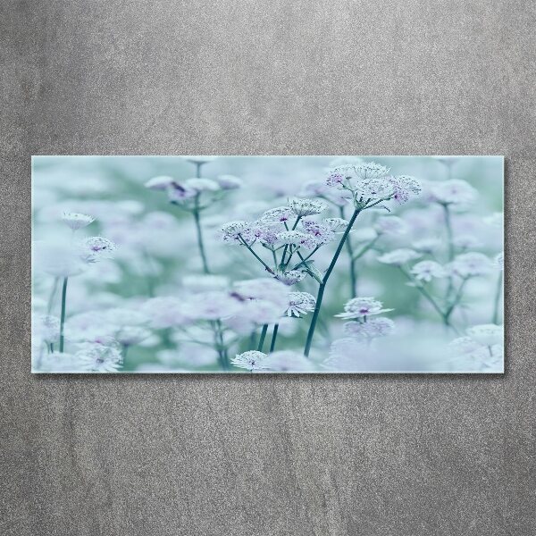 Acrylbild Fotodruck Großer Mantelkraut