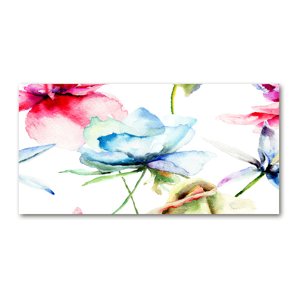 Acrylglas-Druck Mohnblumen