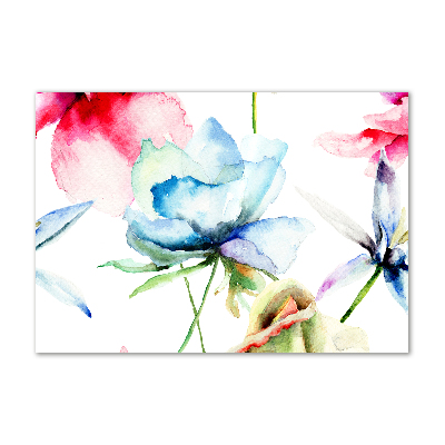 Acrylglas-Druck Mohnblumen