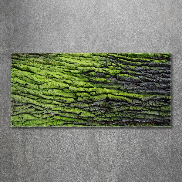 Foto auf Acryl Baumrinde