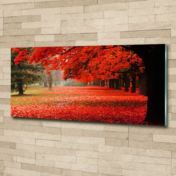 Acrylbild Fotodruck Bäume im Herbst