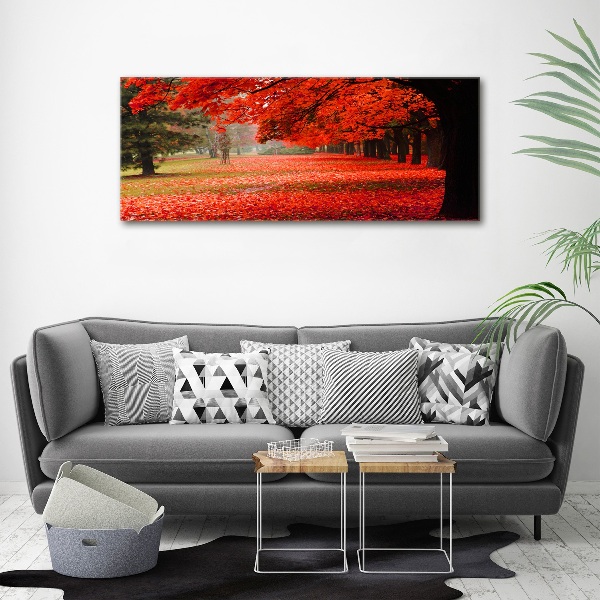 Acrylbild Fotodruck Bäume im Herbst