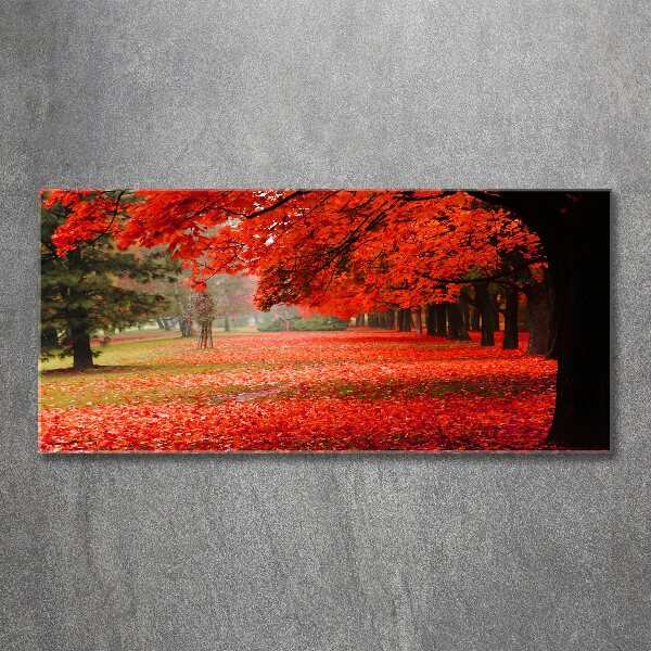 Acrylbild Fotodruck Bäume im Herbst