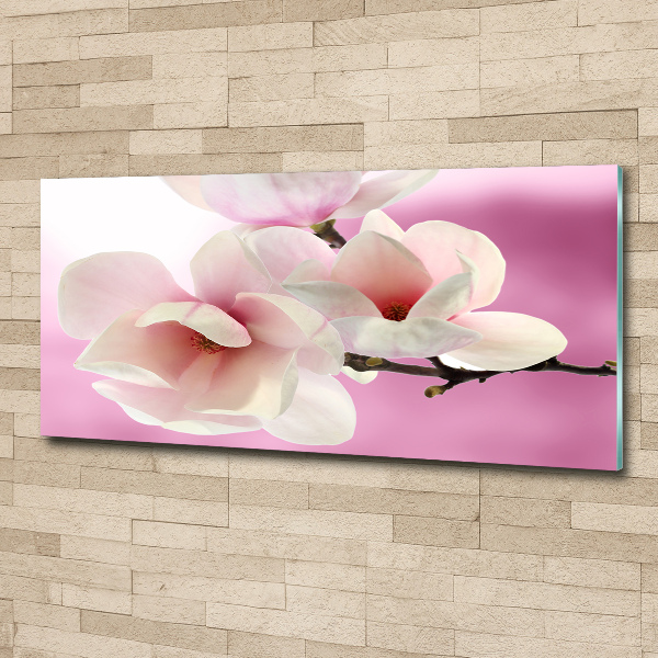 Acrylglas-Druck Magnolie
