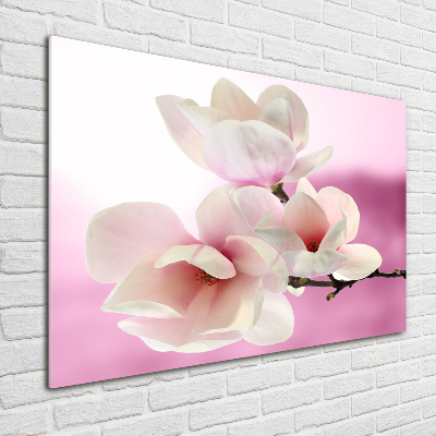 Acrylglas-Druck Magnolie