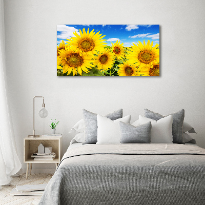 Bild auf Acrylglas Sonnenblumen