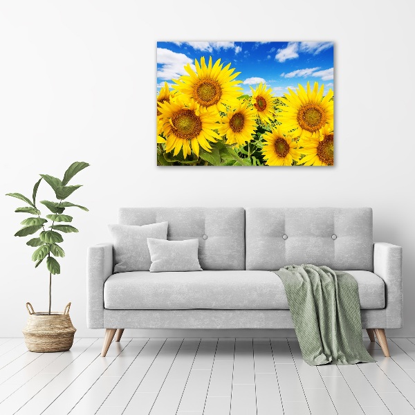 Bild auf Acrylglas Sonnenblumen