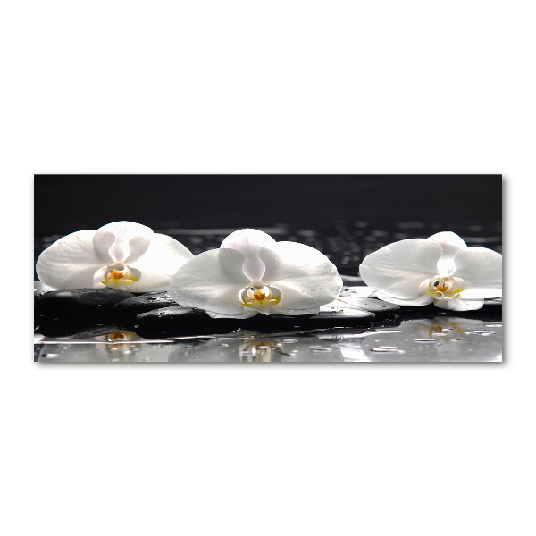 Acrylbild Fotodruck Orchidee