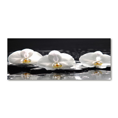 Acrylbild Fotodruck Orchidee