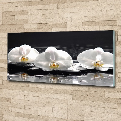 Acrylbild Fotodruck Orchidee