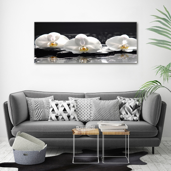 Acrylbild Fotodruck Orchidee