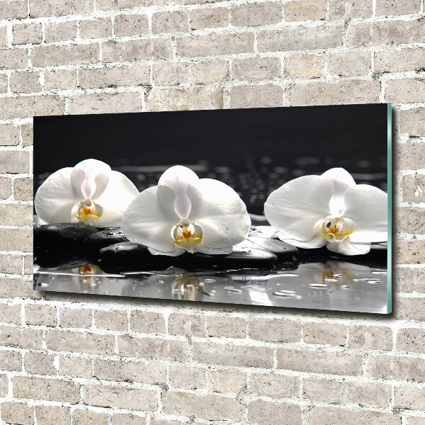 Acrylbild Fotodruck Orchidee