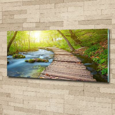 Acrylbild Fotodruck Pfad im Wald