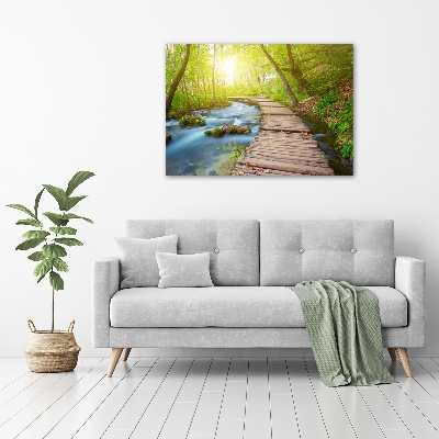 Acrylbild Fotodruck Pfad im Wald