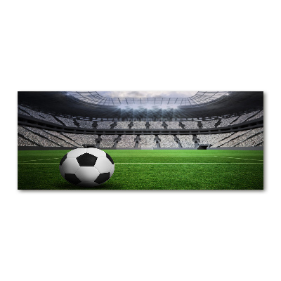 Foto auf Acryl Ball im Stadion
