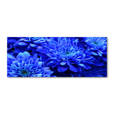 Acrylglas-Druck Blaue Aster