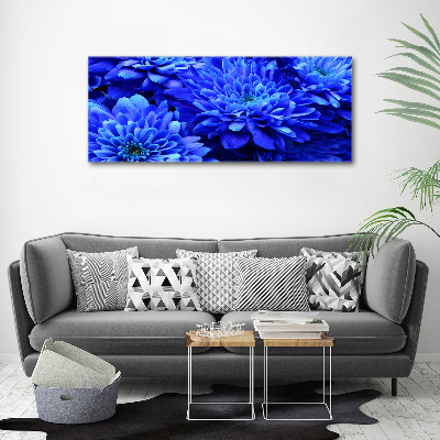 Acrylglas-Druck Blaue Aster