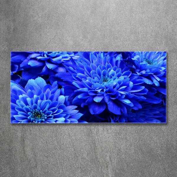 Acrylglas-Druck Blaue Aster