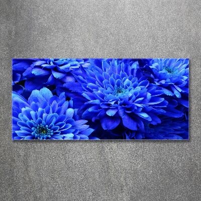 Acrylglas-Druck Blaue Aster