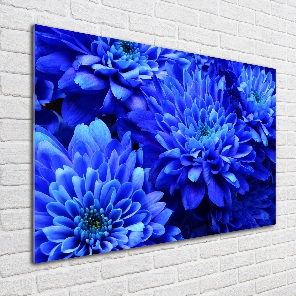 Acrylglas-Druck Blaue Aster
