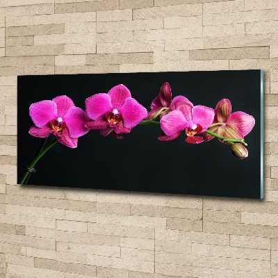 Acrylbild Fotodruck Orchidee
