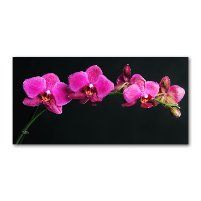 Acrylbild Fotodruck Orchidee
