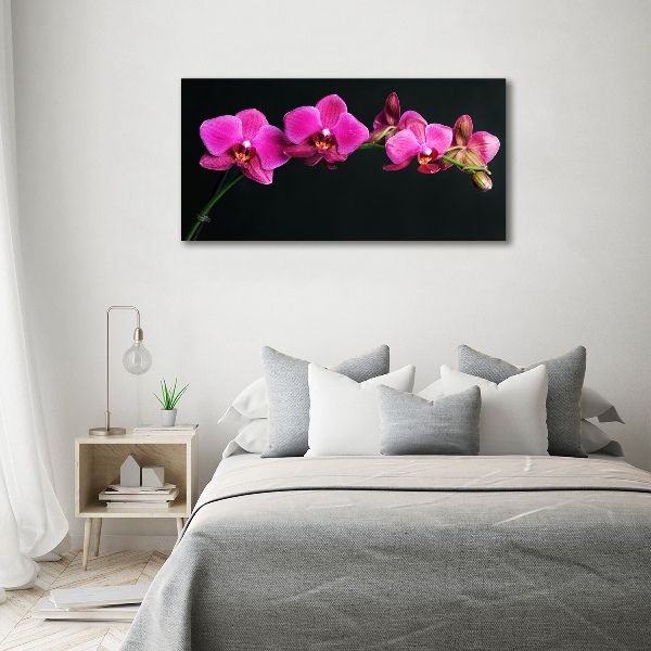 Acrylbild Fotodruck Orchidee