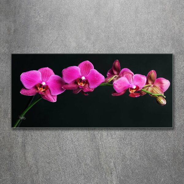 Acrylbild Fotodruck Orchidee
