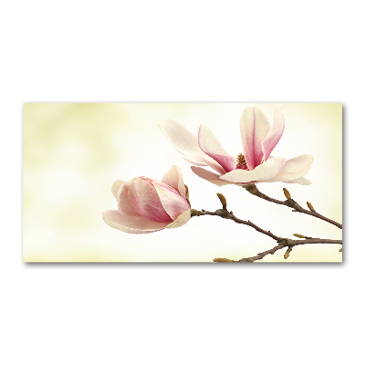 Acrylglas-Druck Magnolie