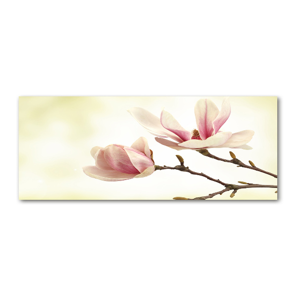 Acrylglas-Druck Magnolie