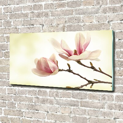 Acrylglas-Druck Magnolie