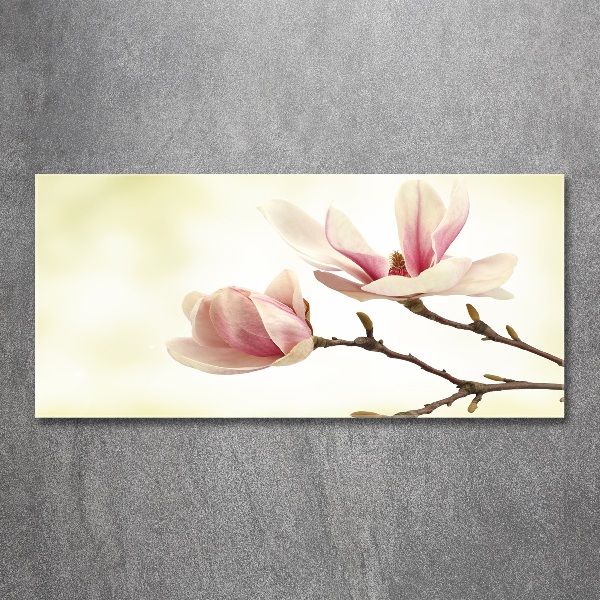 Acrylglas-Druck Magnolie