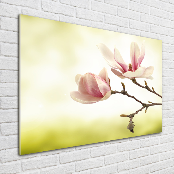 Acrylglas-Druck Magnolie