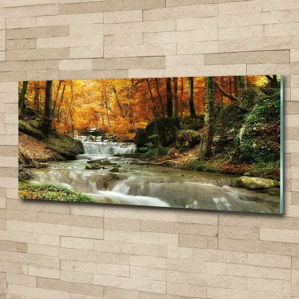 Bild auf Acrylglas Wasserfall im Wald