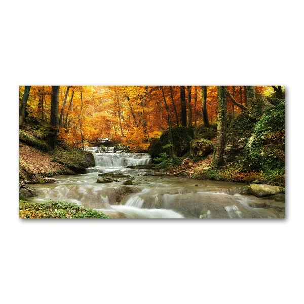 Bild auf Acrylglas Wasserfall im Wald