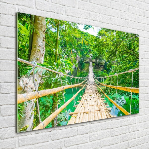 Acrylbild Fotodruck Bambuswaldbrücke
