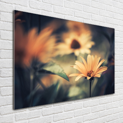 Acrylglas-Druck Frühlingsblume