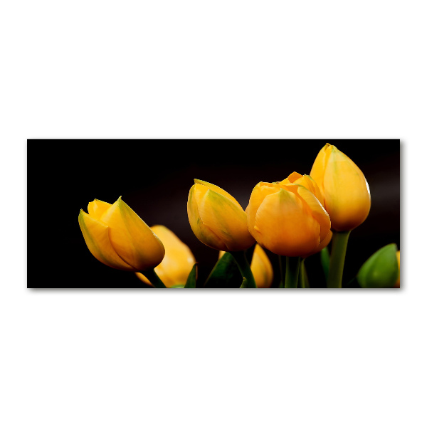 Foto auf Acryl Gelbe Tulpen